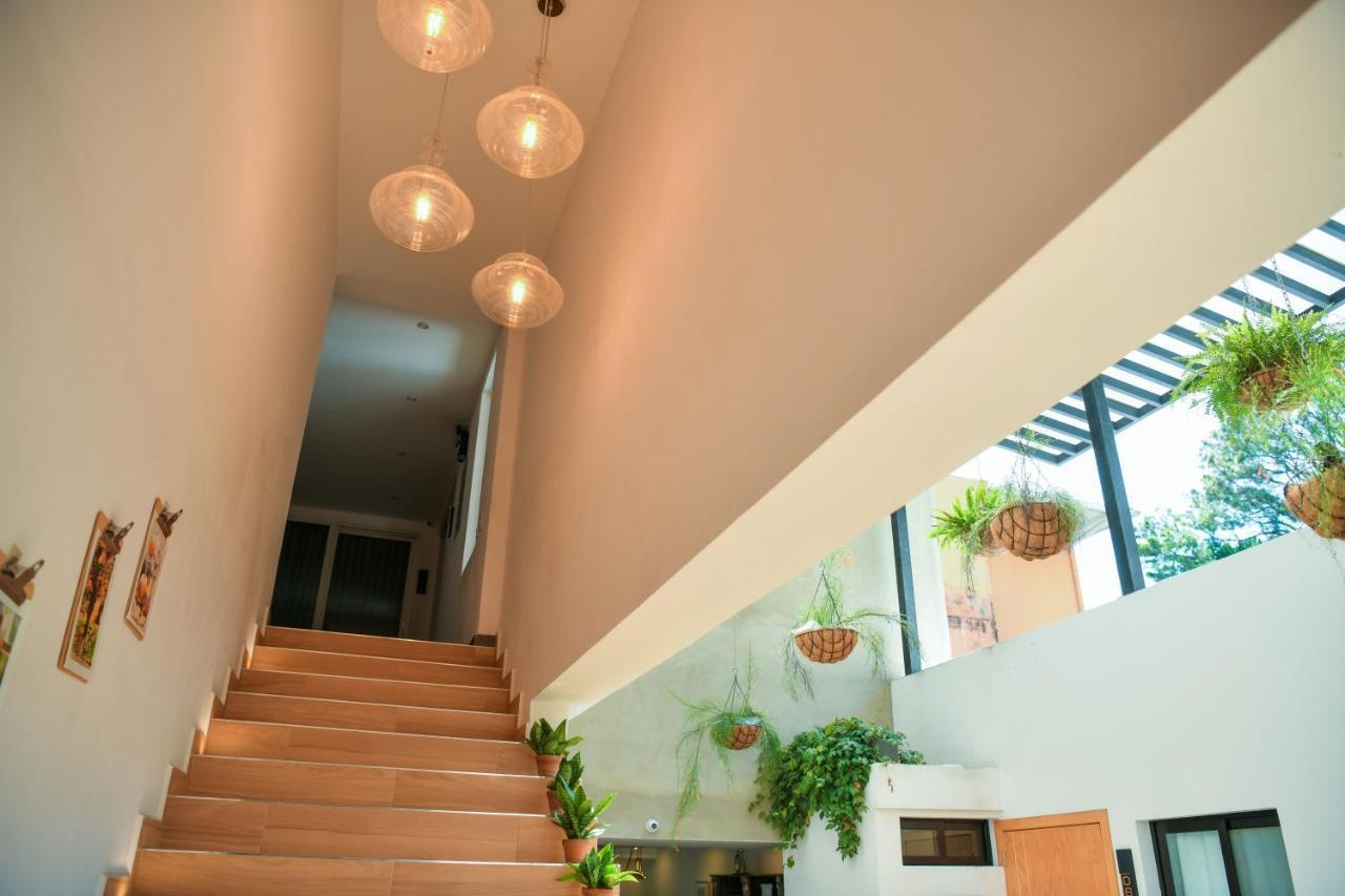 Kaleo Hotel Boutique سان سلفادور المظهر الخارجي الصورة