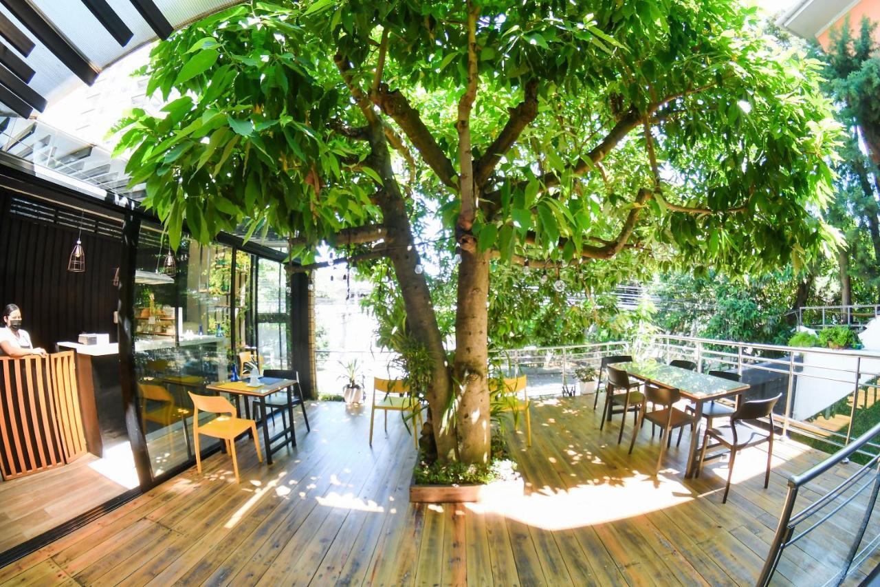 Kaleo Hotel Boutique سان سلفادور المظهر الخارجي الصورة