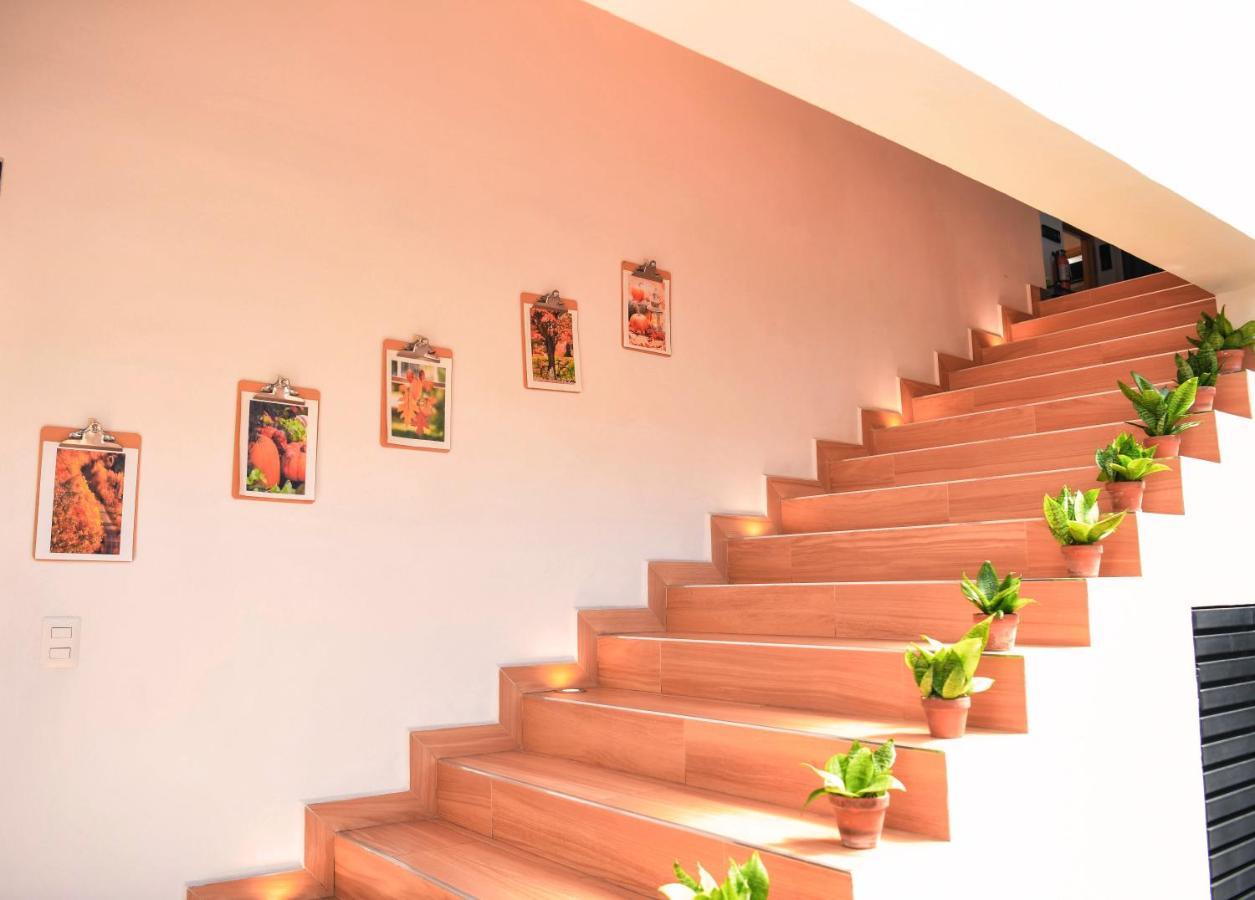 Kaleo Hotel Boutique سان سلفادور المظهر الخارجي الصورة