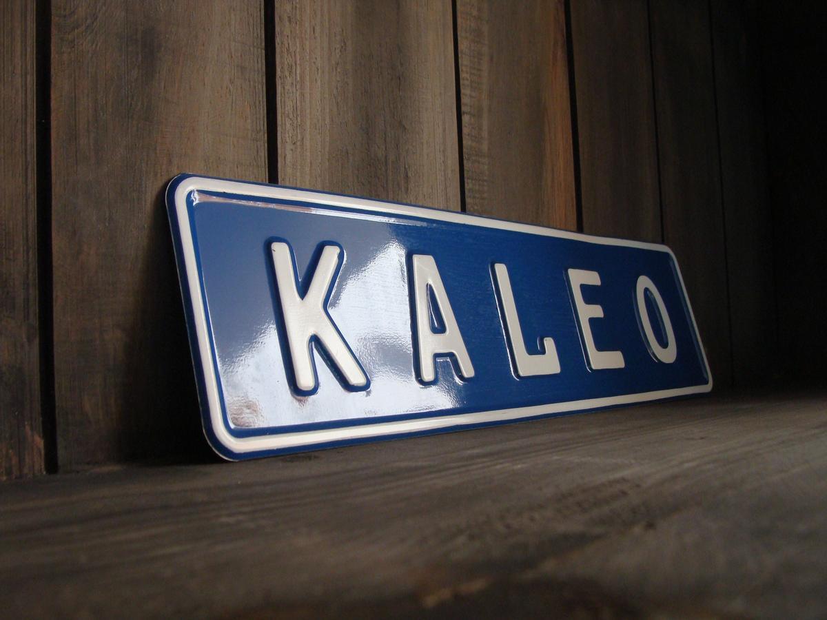 Kaleo Hotel Boutique سان سلفادور المظهر الخارجي الصورة